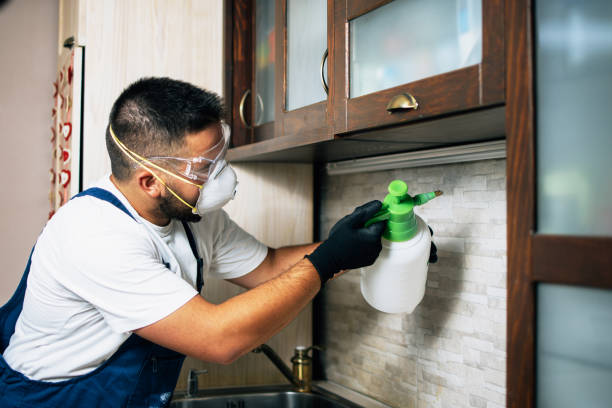 Best Pest Removal Services  in Superior, NE